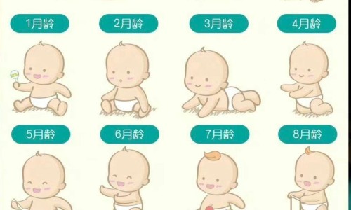 婴儿小木马品牌-专业婴儿小木马品牌介绍平台-小木马童装怎么样